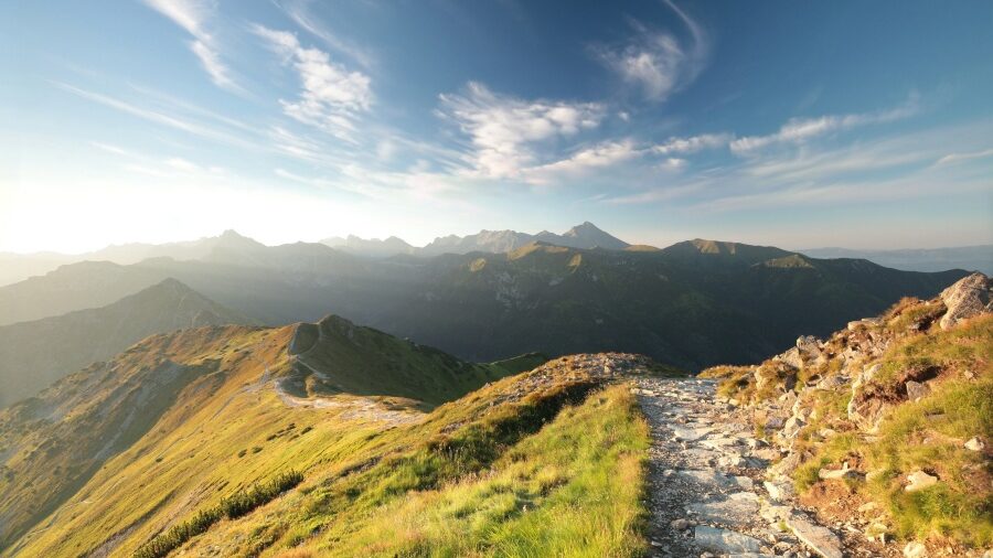 Provident Resources Prudent counsel for Family Offices